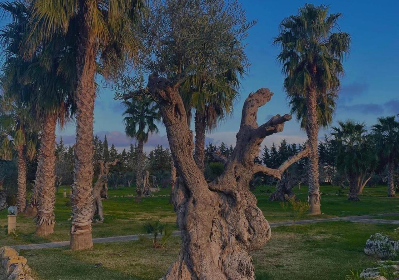 غالّيبولي Tenuta Kalos المظهر الخارجي الصورة